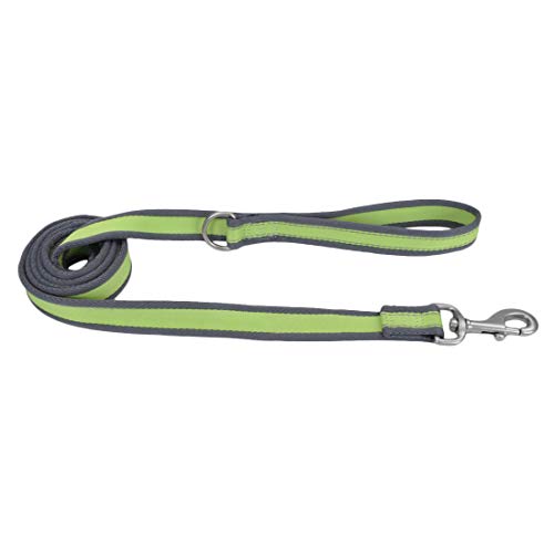 Coastal - Pro Reflective Dog Leash - 6 Foot Dog Leash with D-Ring - Bright Green with Grey - 1‚Äù x 6‚Äô