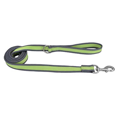 Coastal - Pro Reflective Dog Leash - 6 Foot Dog Leash with D-Ring - Bright Green with Grey - 1‚Äù x 6‚Äô