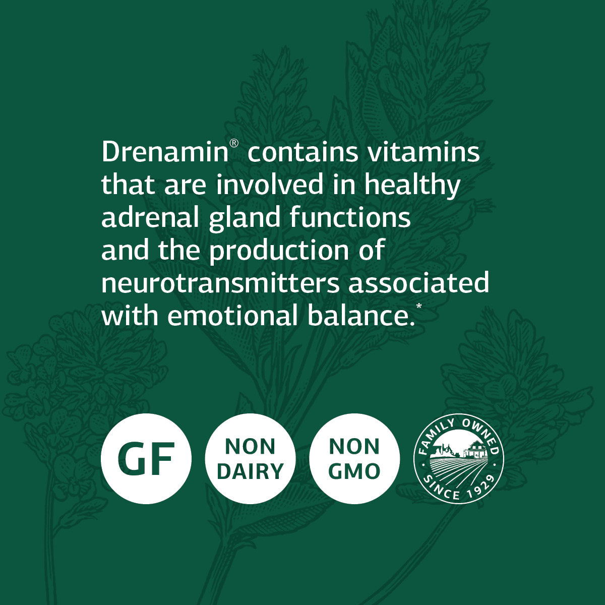 Standard Process Drenamin - Whole Food Antioxidant, Adrenal Support and Immune Support with Shitake, Alfalfa, Rice Bran, Riboflavin, Calcium Lactate, Choline - 90 Tablets