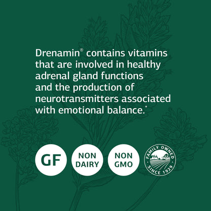 Standard Process Drenamin - Whole Food Antioxidant, Adrenal Support and Immune Support with Shitake, Alfalfa, Rice Bran, Riboflavin, Calcium Lactate, Choline - 90 Tablets