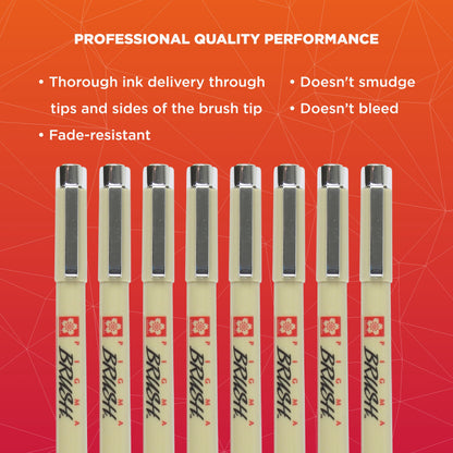 Sakura Archival Brush Pens, 8 Set, Colors May Vary, 8 Piece