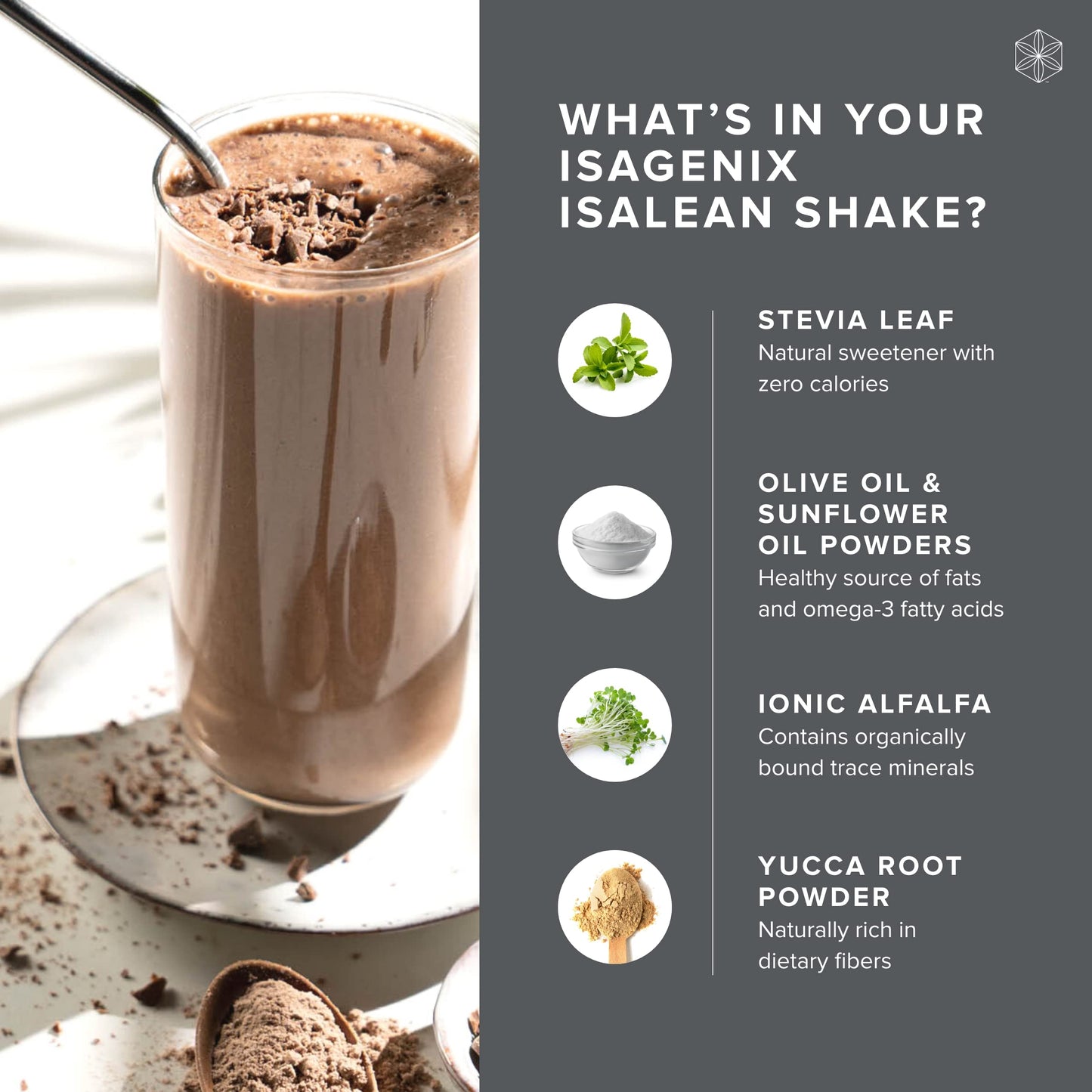 Isagenix IsaLean Shake - Complete Superfood Meal Replacement Drink Mix for Maintaining Healthy Weight and Lean Muscle Growth - 854 Grams - 14 Meal Packets (Creamy Dutch Chocolate Flavor)