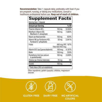 Nature's Way Vitamin B-100 Complex, 100 Capsules