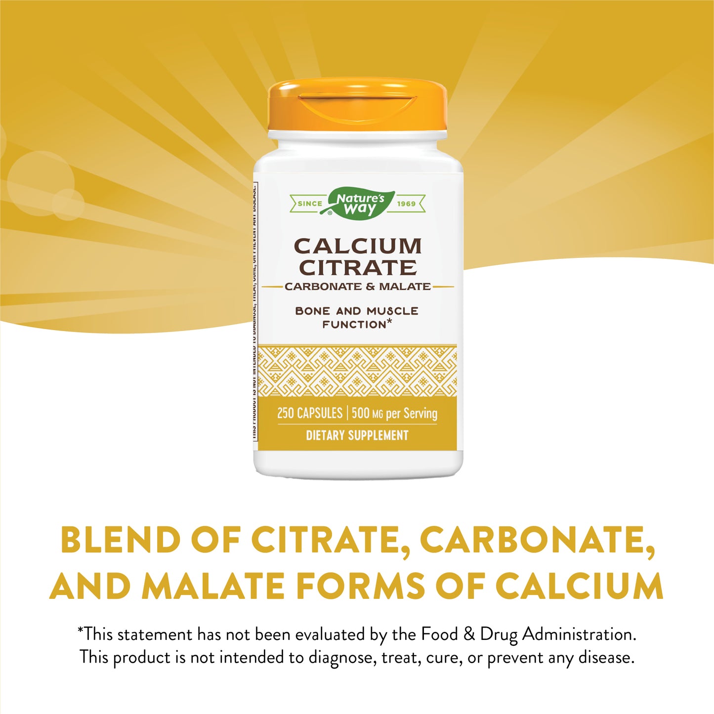 Nature's Way Calcium Citrate Complex, 500 mg per serving, 250 Capsules
