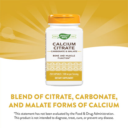 Nature's Way Calcium Citrate Complex, 500 mg per serving, 250 Capsules