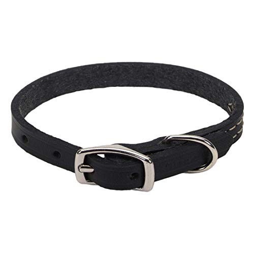 Coastal - Circle T - Oak Tanned Leather Town Dog Collar, Black, 5/8" x 14"