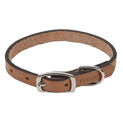 Coastal - Circle T - Oak Tanned Leather Town Dog Collar, Tan, 5/8" x 14"