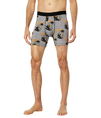 Stance Chillvile Boxer Brief (Large, Grey)