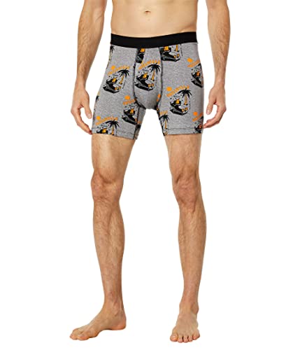 Stance Chillvile Boxer Brief (Medium, Grey)