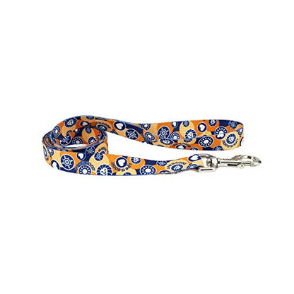 Coastal - Styles - Dog Leash, Pawsitivity, 1" x 06'