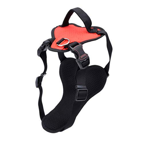 Coastal - Inspire Enhanced Core - Harness, Red, 1" x 26"-38"