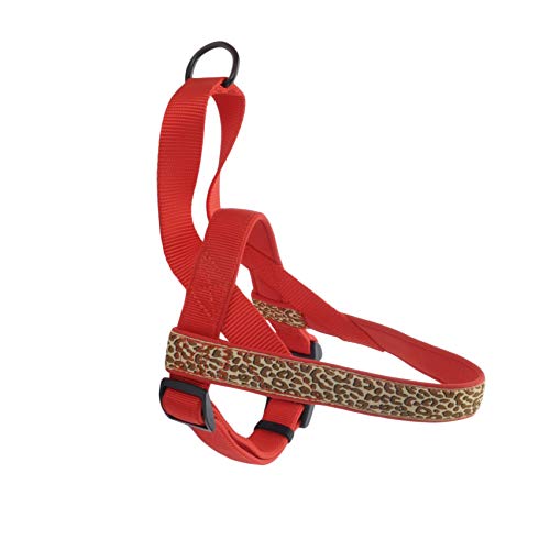 Coastal - Ribbon - Weave Harness, Brown Leopard on Red, 1" x 28"-36"