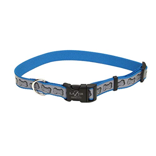 Coastal - Lazer Brite - Reflective Adjustable Dog Collar, Turquoise Bones, 1" x 18"-26"