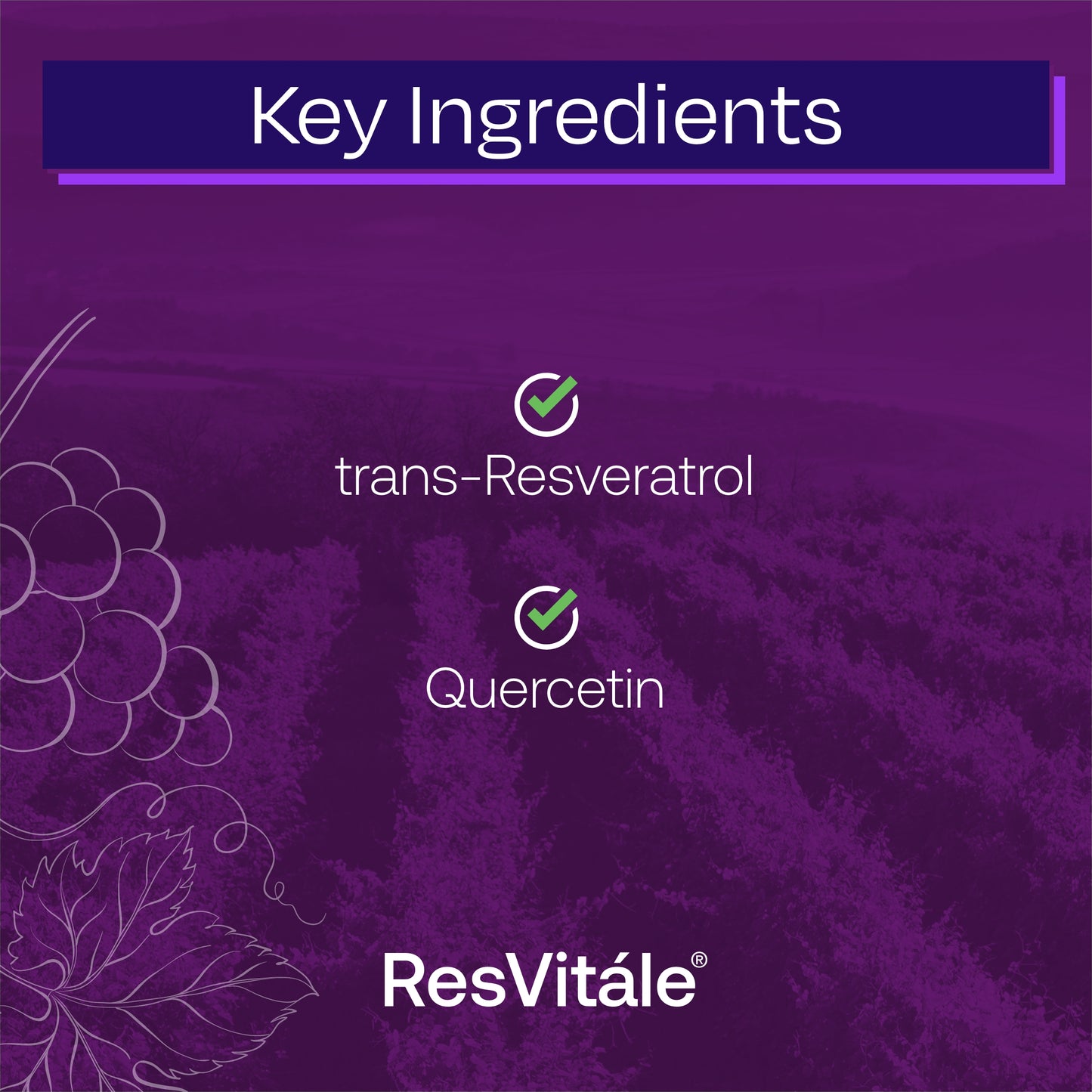 ResVitale Resveratrol 250mg - Anti Aging Antioxidants Supplement for Heart Health & Immune Support - Natural Trans Resveratrol Supplement with Grape Extract & Quercetin, 120 Veggie Caps