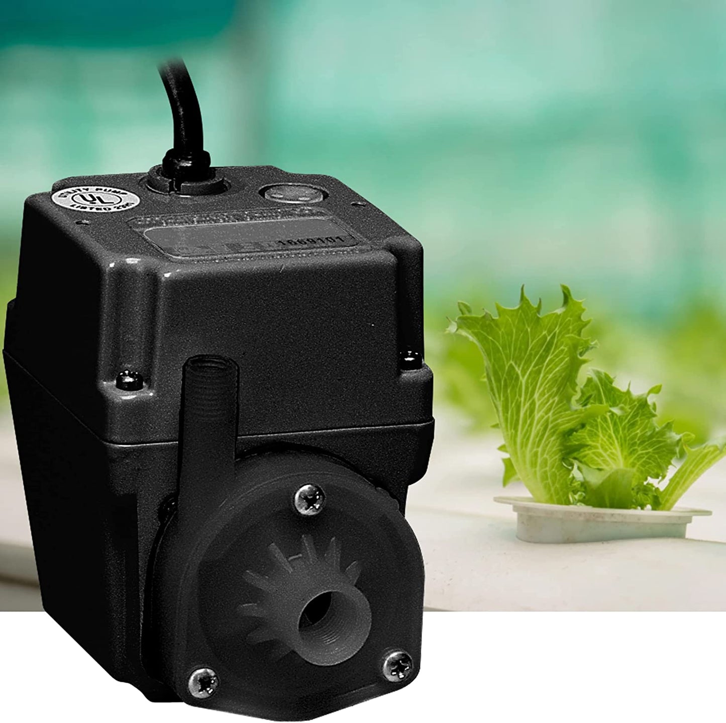 Little Giant 502375 In-line/Submersible 300 GPH, 1/40 HP, 115 Volt Manual Small Oil-filled Aluminum Pump with 15-ft. Cord, Black, 2E-38N-WG