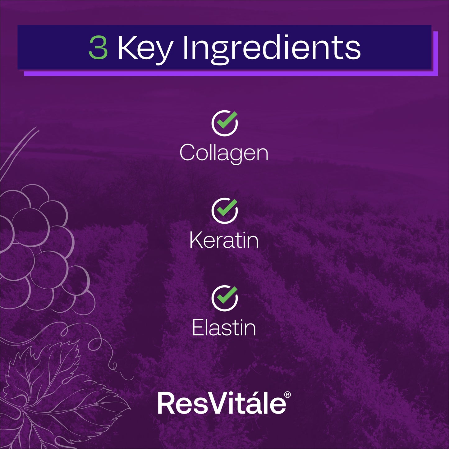 ResVitale Beauty 3 - Hair Skin and Nails Supplement w/Hydrolyzed Collagen Peptides, Hyaluronic Acid, Cynatine HNS Hydrolyzed Keratin Complex, Hair Growth Vitamins & DERMAVAL Bioactive Blend, 90 Caps