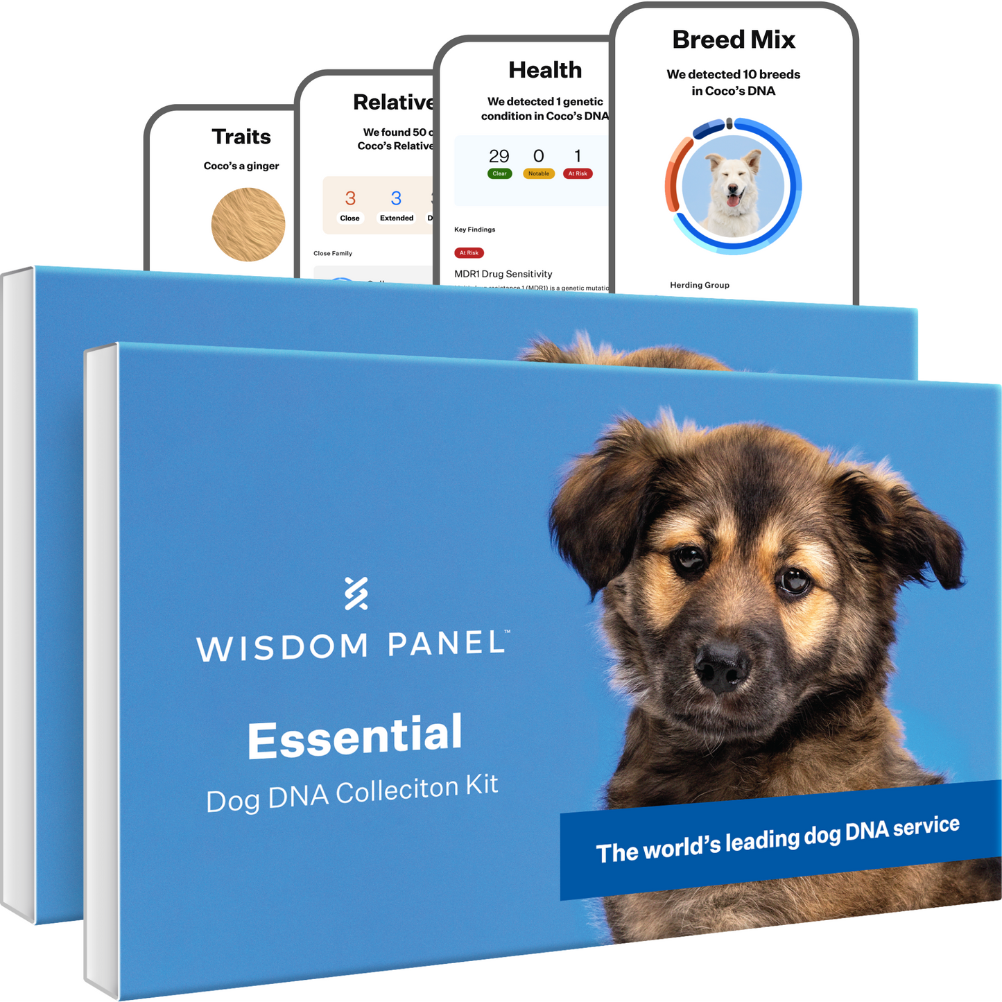 Wisdom Panel Essential: Most Accurate Dog DNA Test Kit for Breed ID and Ancestry | 25+ Genetic Health Conditions | Traits | Relatives | 2 Pack