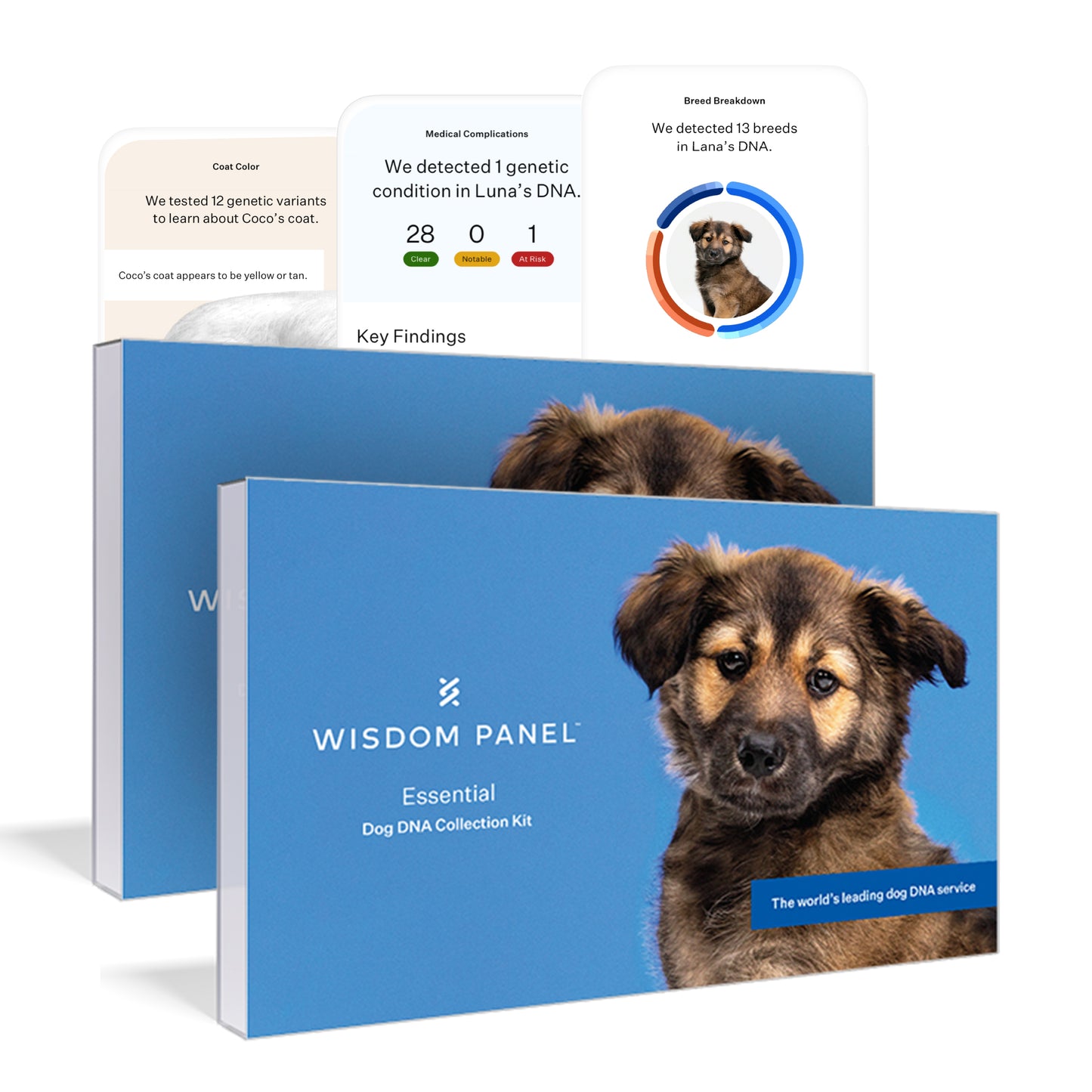 Wisdom Panel Essential: Most Accurate Dog DNA Test Kit for Breed ID and Ancestry | 25+ Genetic Health Conditions | Traits | Relatives | 2 Pack
