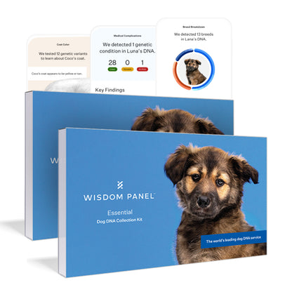 Wisdom Panel Essential: Most Accurate Dog DNA Test Kit for Breed ID and Ancestry | 25+ Genetic Health Conditions | Traits | Relatives | 2 Pack