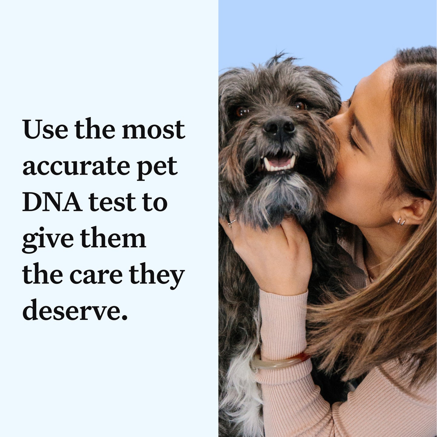 Wisdom Panel Essential: Most Accurate Dog DNA Test Kit for Breed ID and Ancestry | 25+ Genetic Health Conditions | Traits | Relatives | 2 Pack