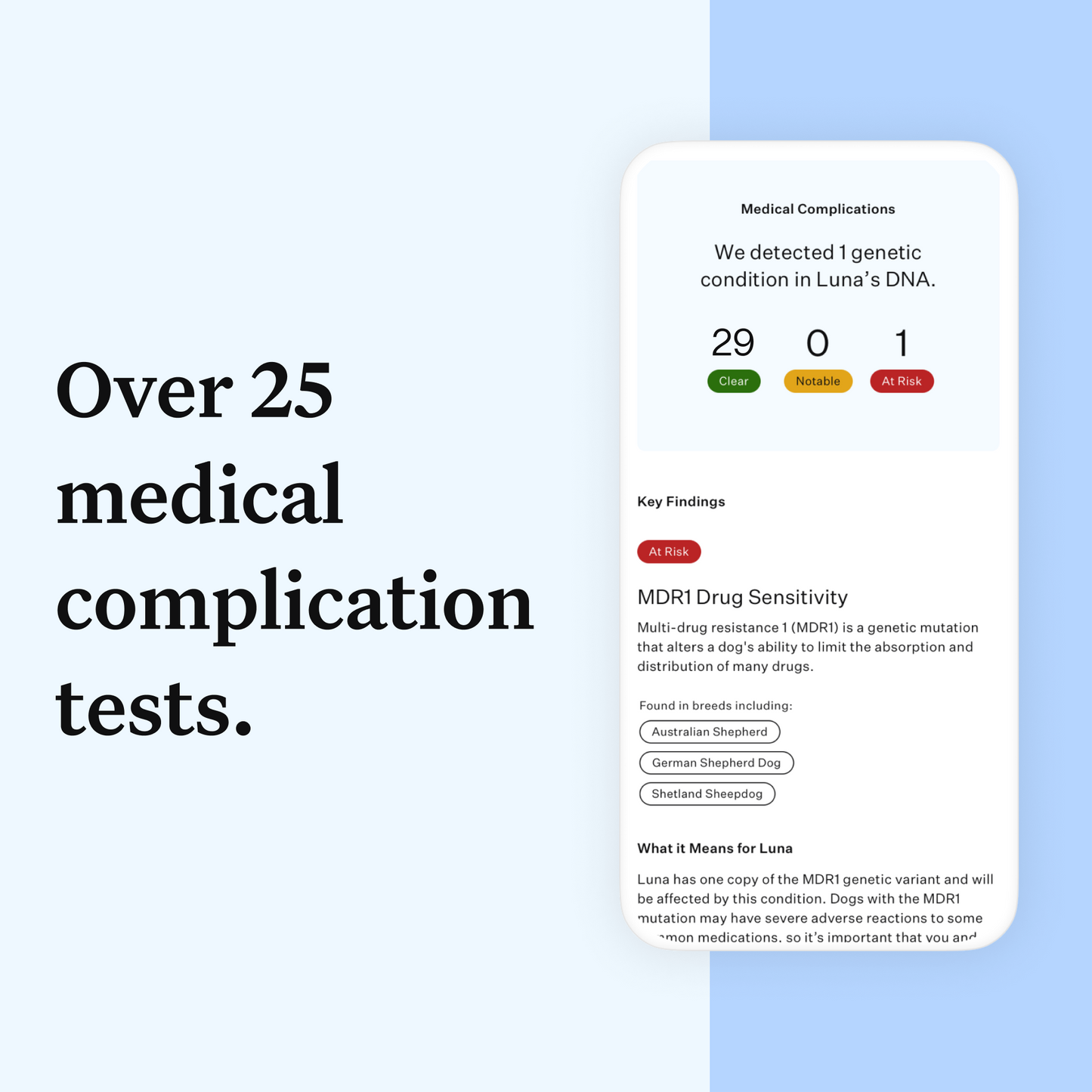 Wisdom Panel Essential: Most Accurate Dog DNA Test Kit for Breed ID and Ancestry | 25+ Genetic Health Conditions | Traits | Relatives | 2 Pack