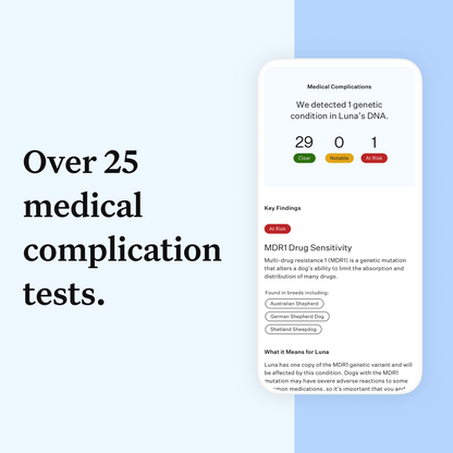 Wisdom Panel Essential: Most Accurate Dog DNA Test Kit for Breed ID and Ancestry | 25+ Genetic Health Conditions | Traits | Relatives | 2 Pack
