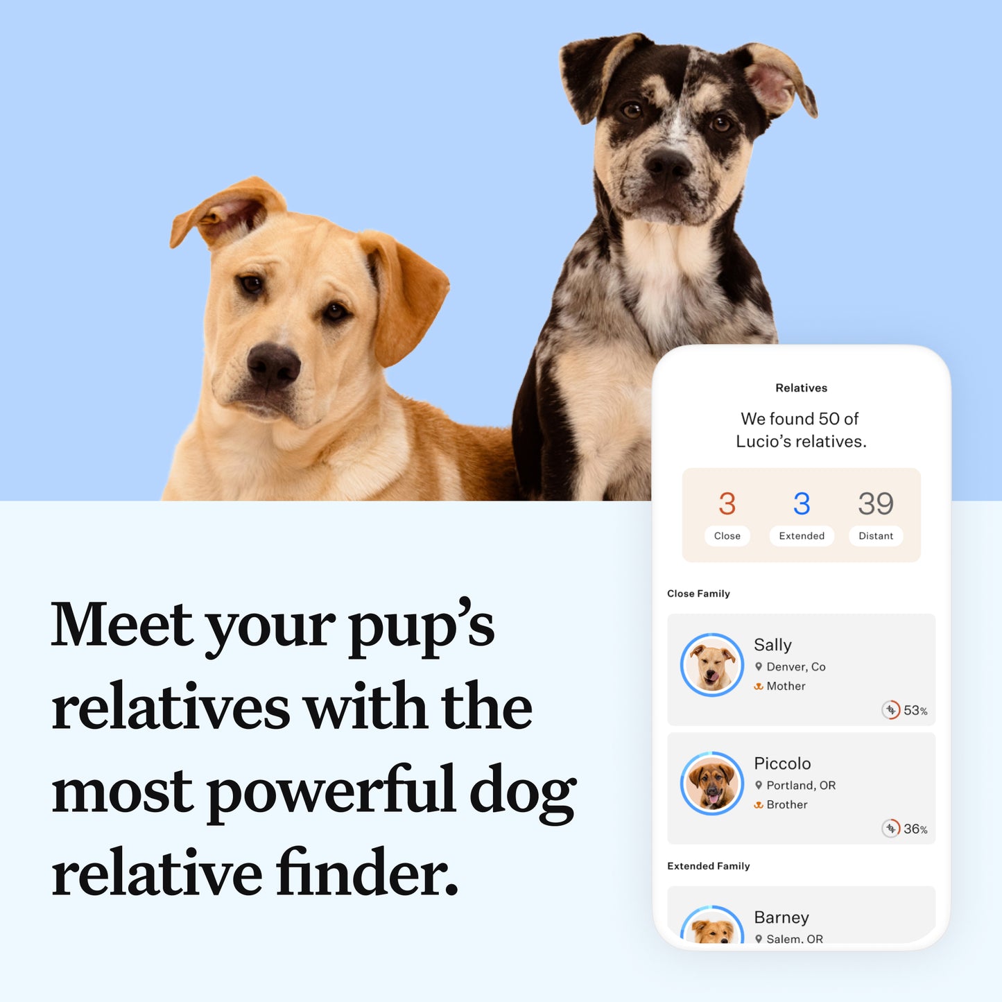 Wisdom Panel Essential: Most Accurate Dog DNA Test Kit for Breed ID and Ancestry | 25+ Genetic Health Conditions | Traits | Relatives | 2 Pack