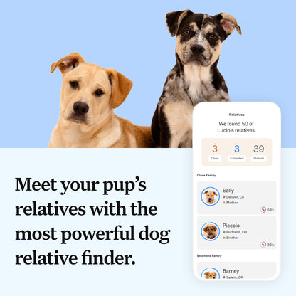 Wisdom Panel Essential: Most Accurate Dog DNA Test Kit for Breed ID and Ancestry | 25+ Genetic Health Conditions | Traits | Relatives | 2 Pack