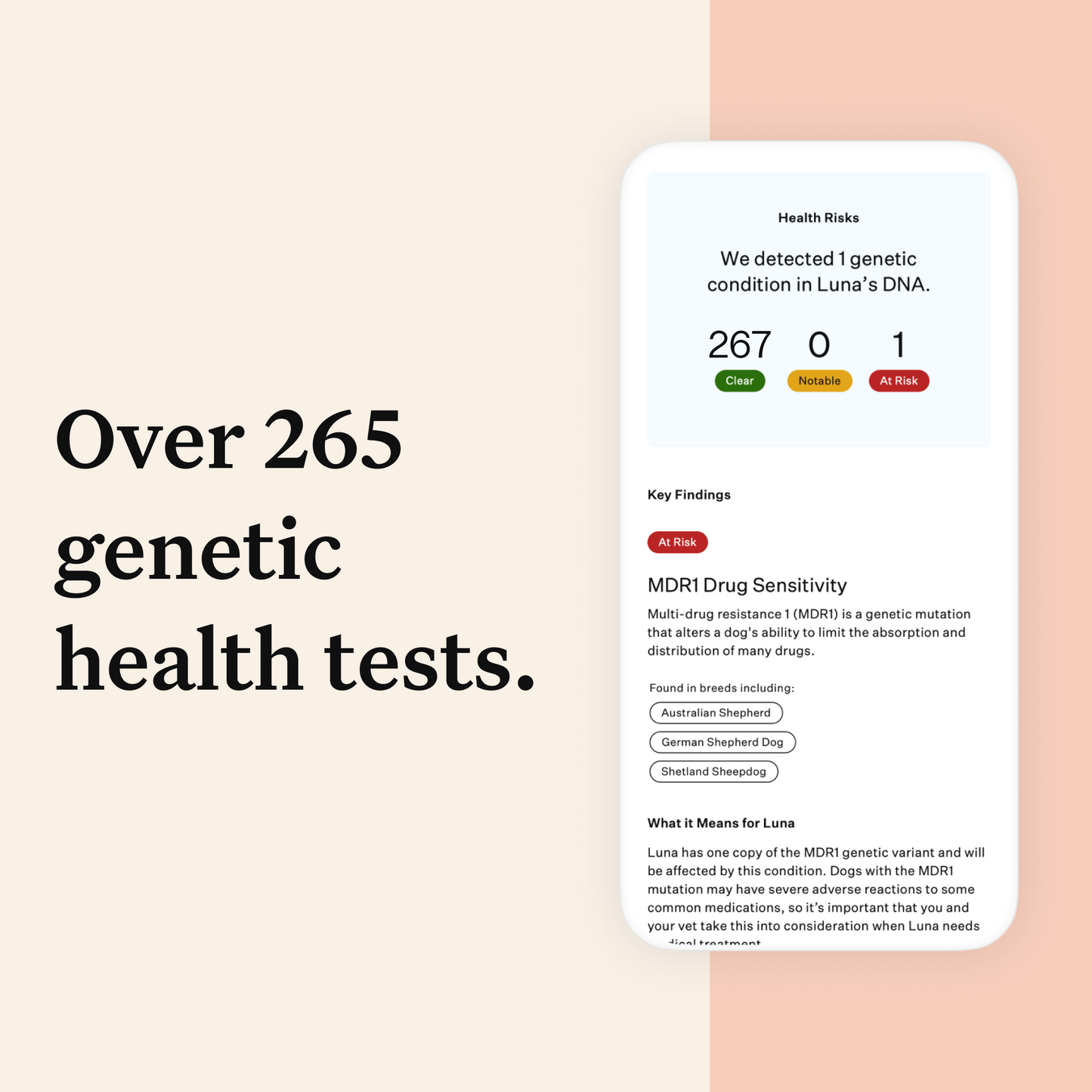 Wisdom Panel Premium, New and Improved Dog DNA Test for Comprehensive Health, Traits and Ancestry