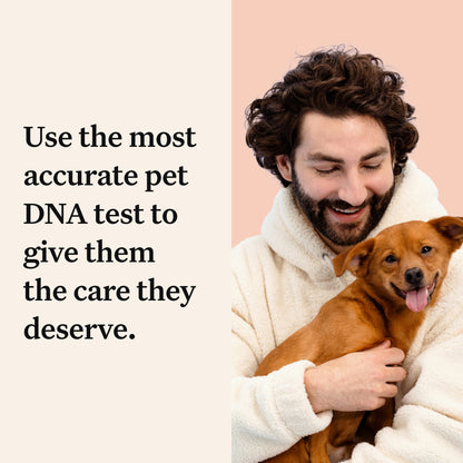 Wisdom Panel Premium, New and Improved Dog DNA Test for Comprehensive Health, Traits and Ancestry