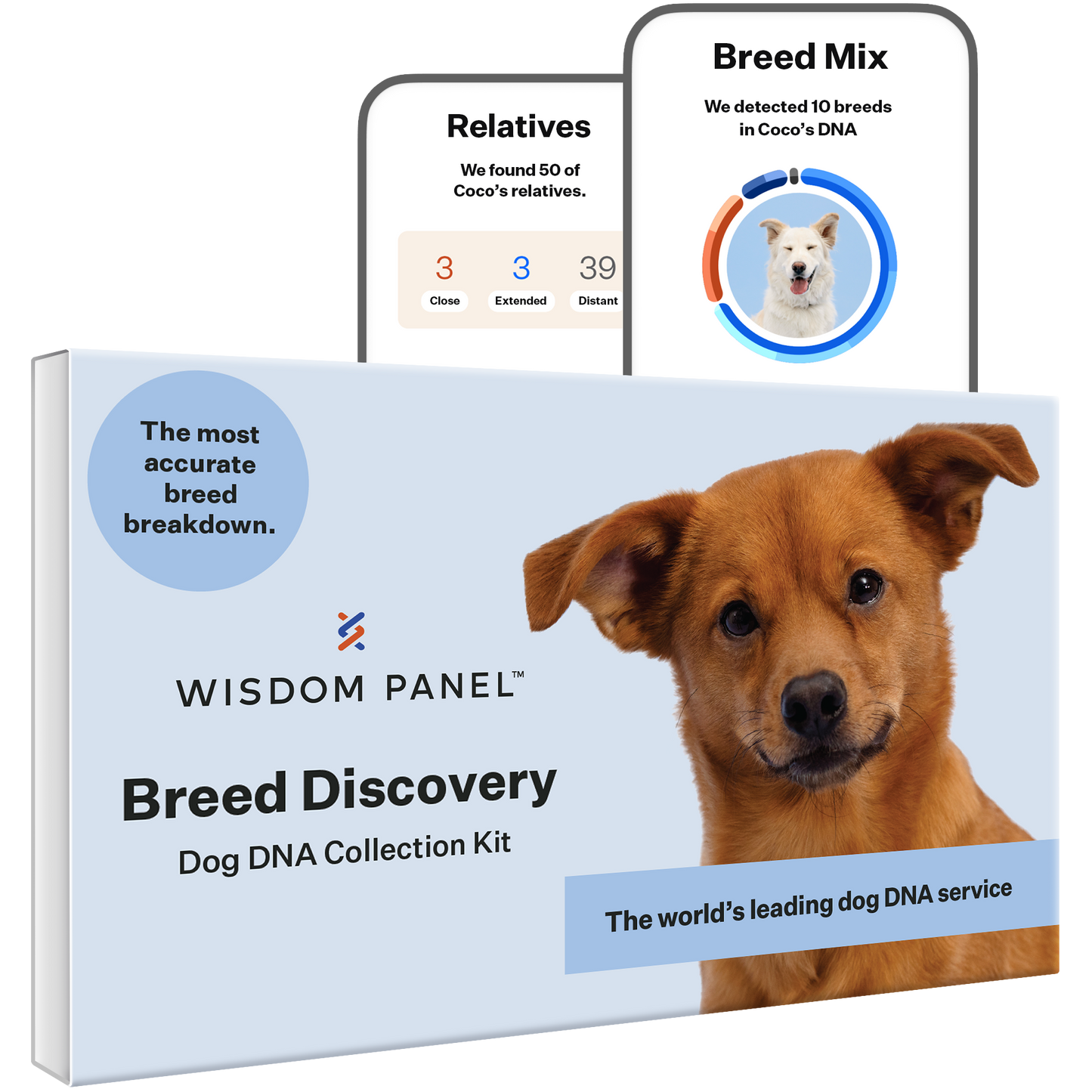 Wisdom Panel 3.0 Canine DNA Test - Dog DNA Test Kit for Breed and Ancestry Information