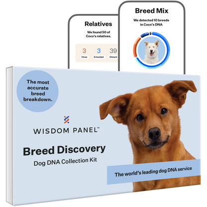 Wisdom Panel 3.0 Canine DNA Test - Dog DNA Test Kit for Breed and Ancestry Information