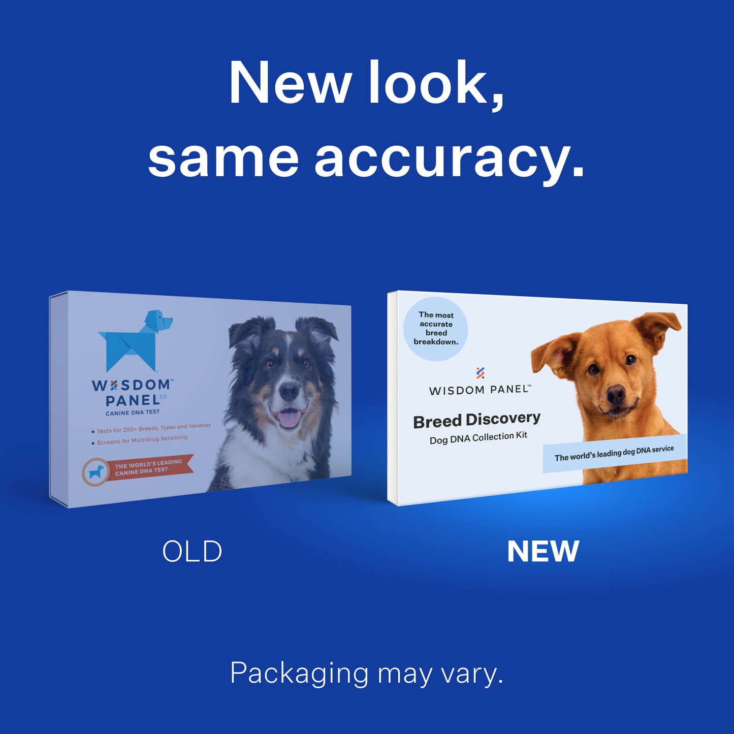 Wisdom Panel 3.0 Canine DNA Test - Dog DNA Test Kit for Breed and Ancestry Information