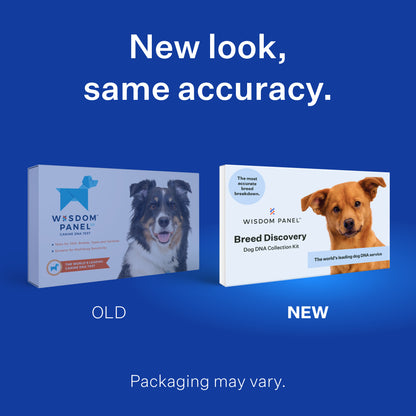 Wisdom Panel 3.0 Canine DNA Test - Dog DNA Test Kit for Breed and Ancestry Information