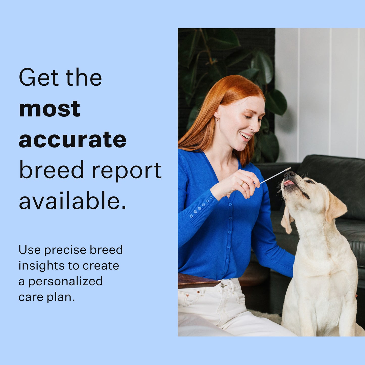 Wisdom Panel 3.0 Canine DNA Test - Dog DNA Test Kit for Breed and Ancestry Information
