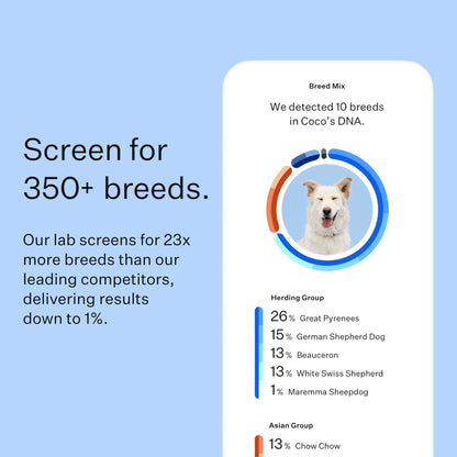 Wisdom Panel 3.0 Canine DNA Test - Dog DNA Test Kit for Breed and Ancestry Information