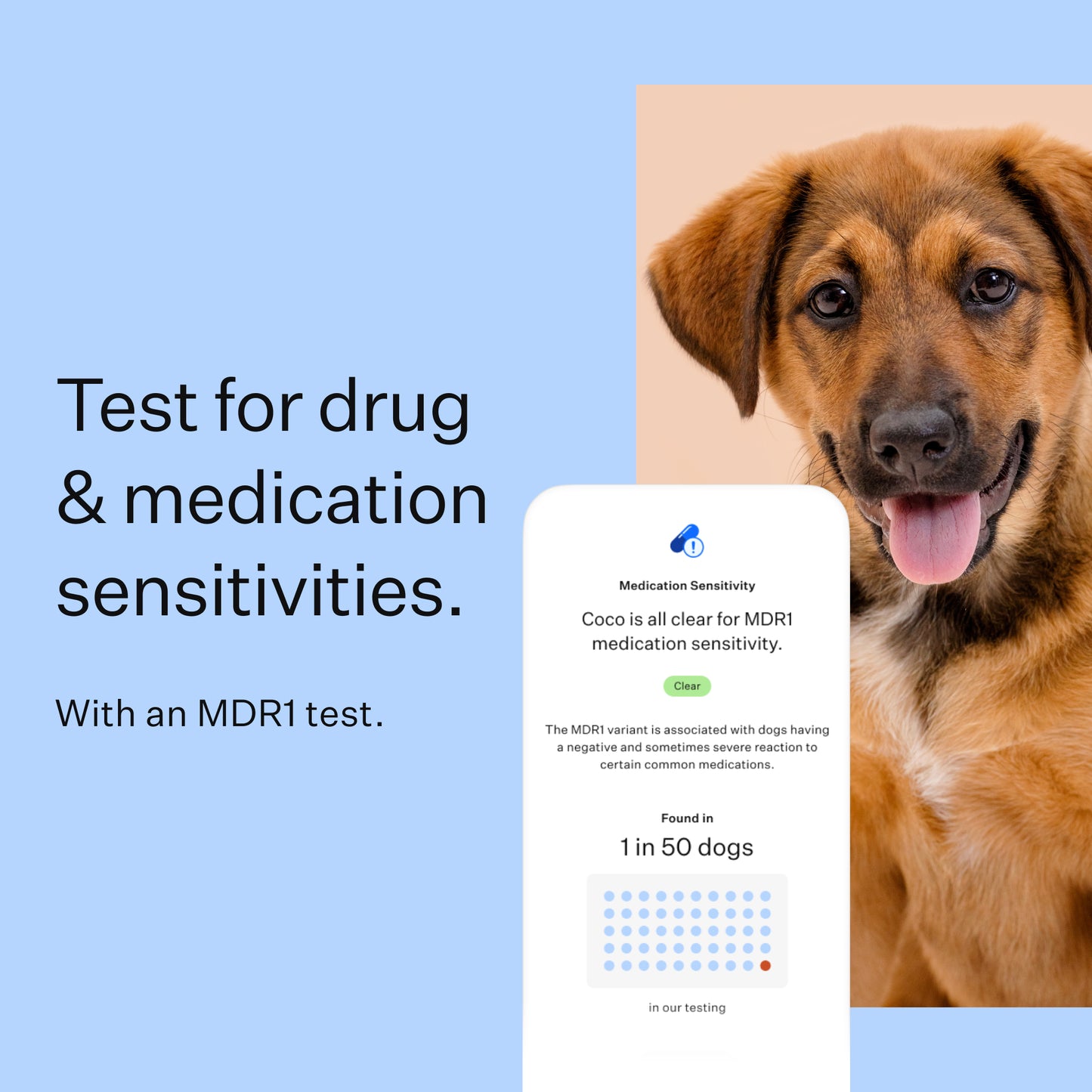 Wisdom Panel 3.0 Canine DNA Test - Dog DNA Test Kit for Breed and Ancestry Information
