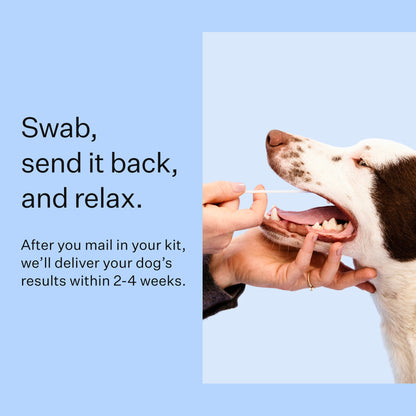Wisdom Panel 3.0 Canine DNA Test - Dog DNA Test Kit for Breed and Ancestry Information