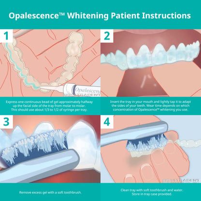 Opalescence at Home Teeth Whitening - Teeth Whitening Gel Syringes - 4 Pack of 20% Syringes - Mint