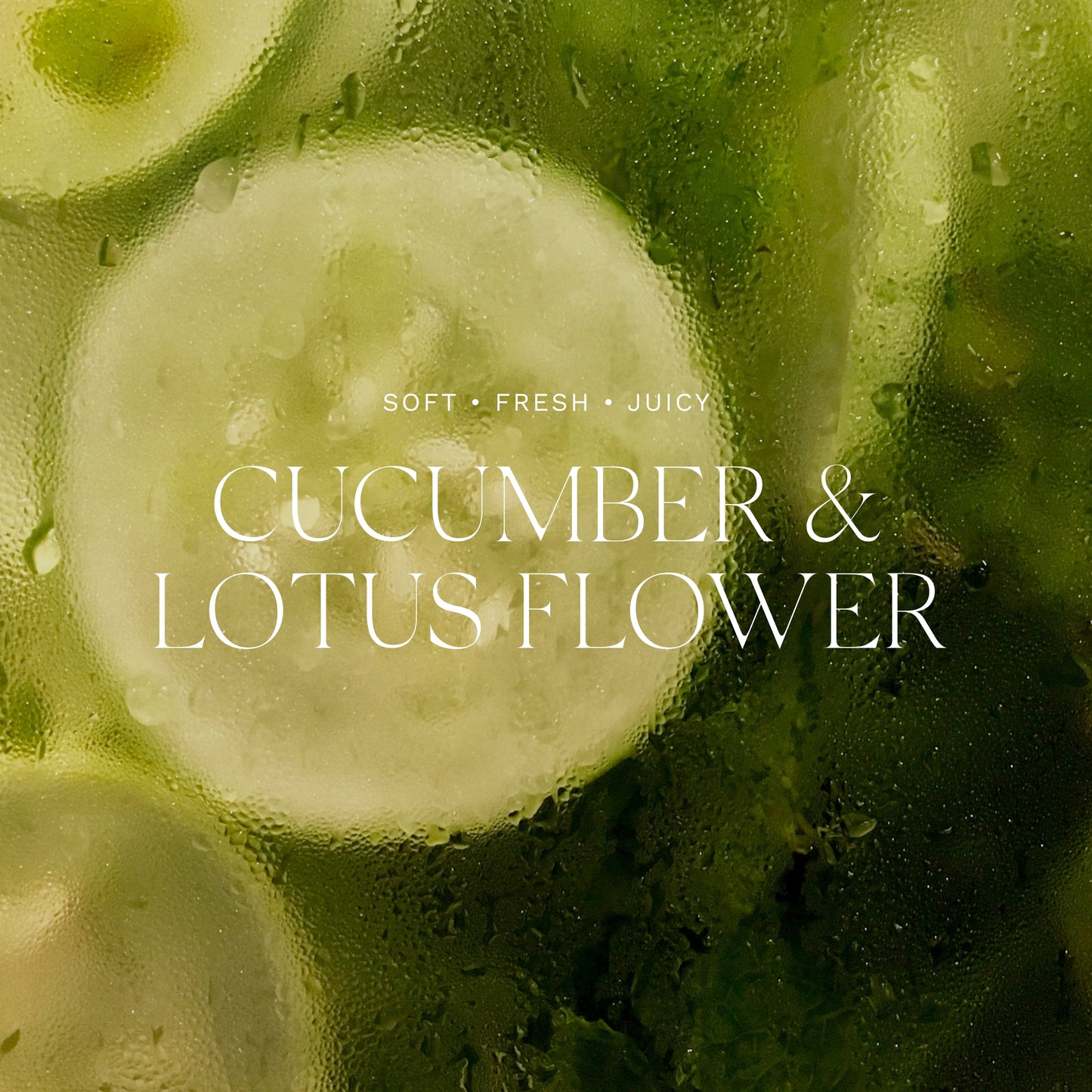 Antica Farmacista Cucumber & Lotus Flower Home Ambiance Perfume, 16.9 Fl Oz