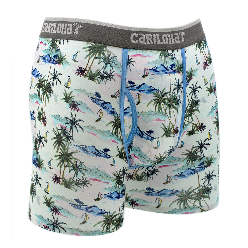 Cariloha Men's Bamboo Boxer Briefs - Breathable Underwear for Men - Large - Vintage Beach