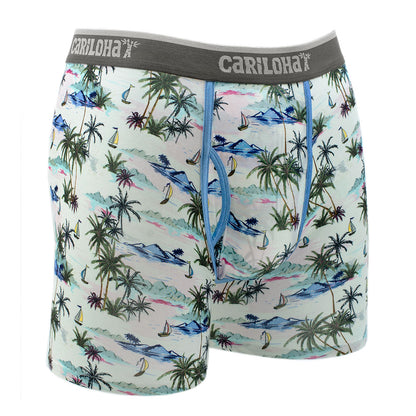 Cariloha Men's Bamboo Boxer Briefs - Breathable Underwear for Men - Large - Vintage Beach