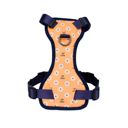 Coastal - Life is Good - Canvas Overlay Dog Harness, Yellow Good Vibes, 5/8" x 16"-24" (Small)