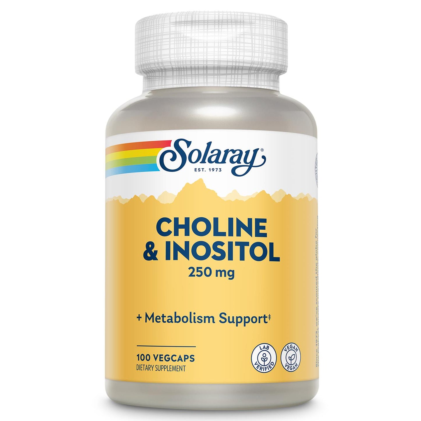 Solaray Choline & Inositol 250 mg | Two-Nutrient Combo for Healthy Fat Metabolism, Brain Function Support | 100 VegCaps