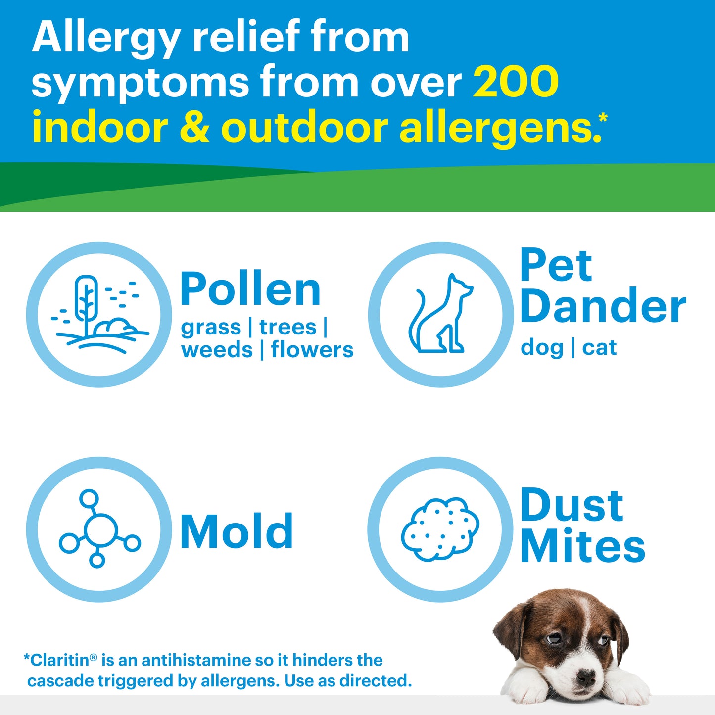 CLARITIN 24 Hour Allergy RediTabs 30 Tablets (Pack of 2)