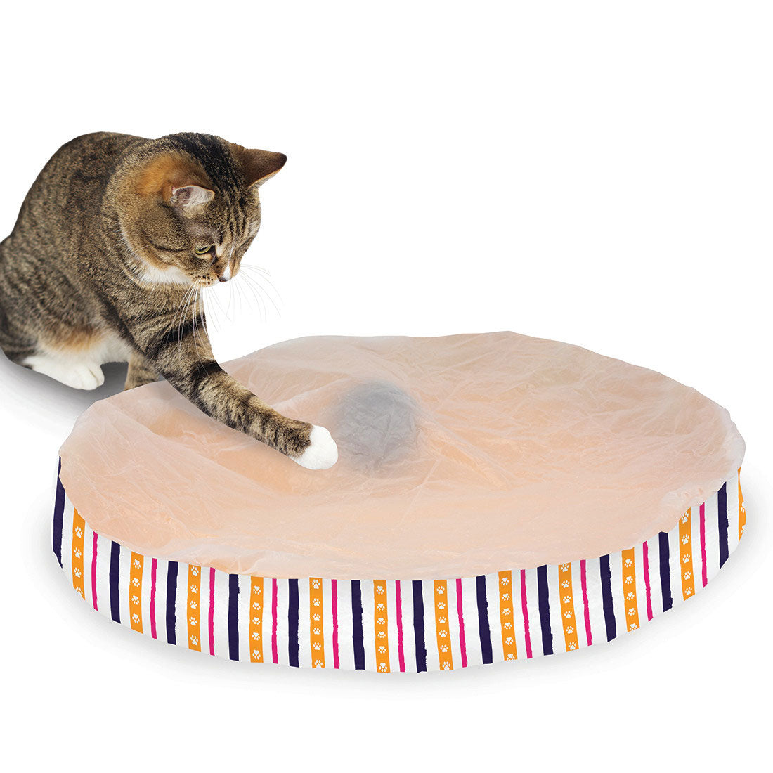 Coastal - Turbo - Random Roller Cat Toy, No Color, 22"