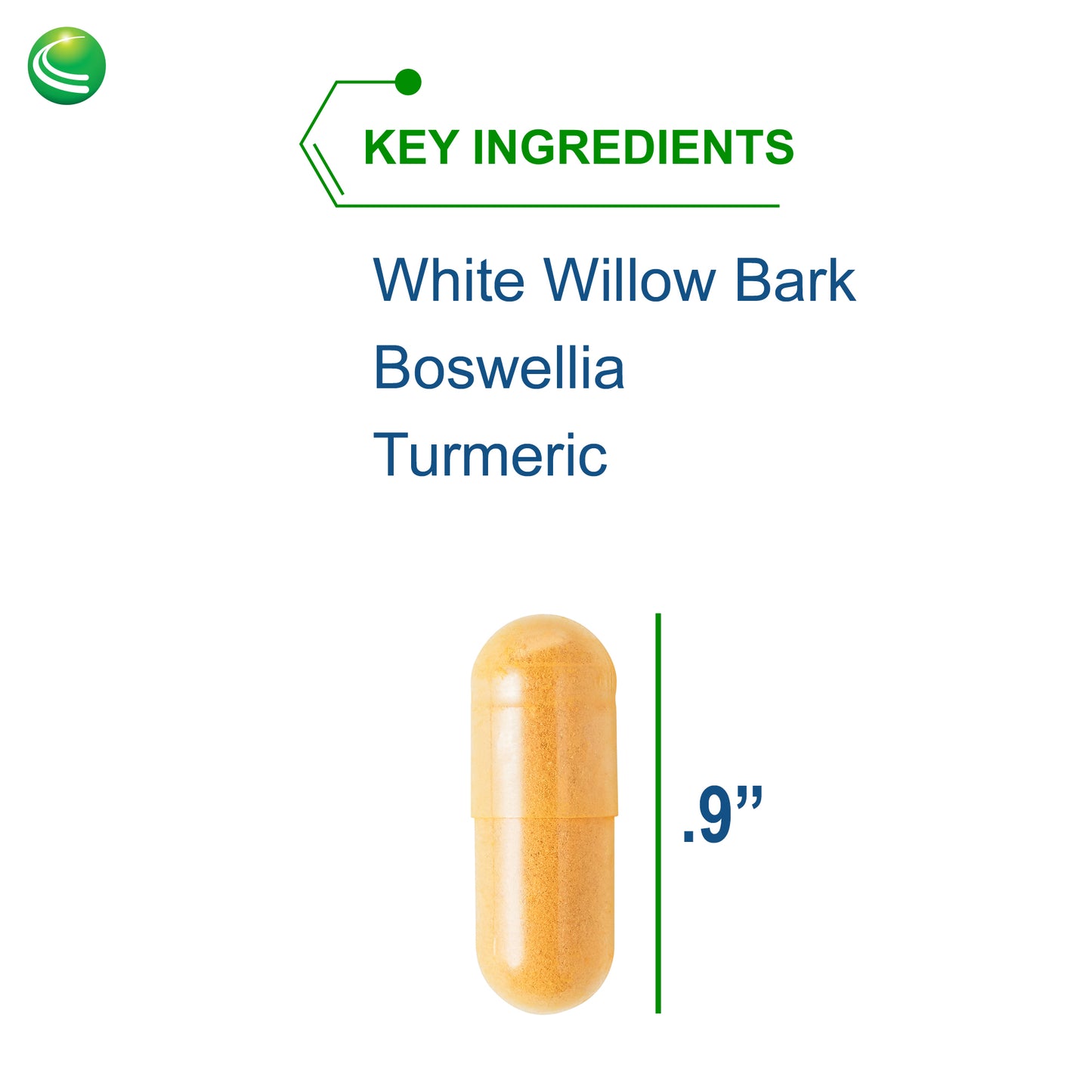 Nutra BioGenesis - White Willow Forte - White Willow Bark, Boswellia and Turmeric to Help Support Body Comfort and Cytokine Balance - Gluten Free, Vegan, Non-GMO - 120 Capsules