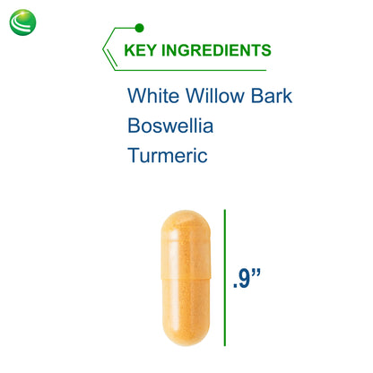 Nutra BioGenesis - White Willow Forte - White Willow Bark, Boswellia and Turmeric to Help Support Body Comfort and Cytokine Balance - Gluten Free, Vegan, Non-GMO - 120 Capsules