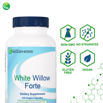 Nutra BioGenesis - White Willow Forte - White Willow Bark, Boswellia and Turmeric to Help Support Body Comfort and Cytokine Balance - Gluten Free, Vegan, Non-GMO - 120 Capsules