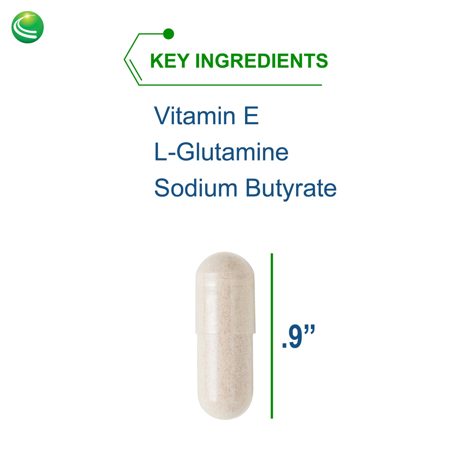 Nutra BioGenesis - Intestinal Repair Capsules - Vitamin E, L-Glutamine and Sodium Butyrate to Help Support Gut and Intestinal Health - Gluten Free - 120 Capsules